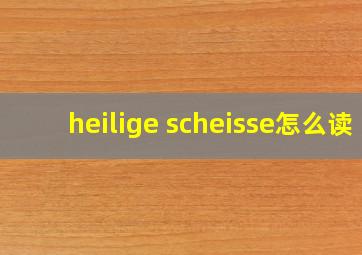 heilige scheisse怎么读